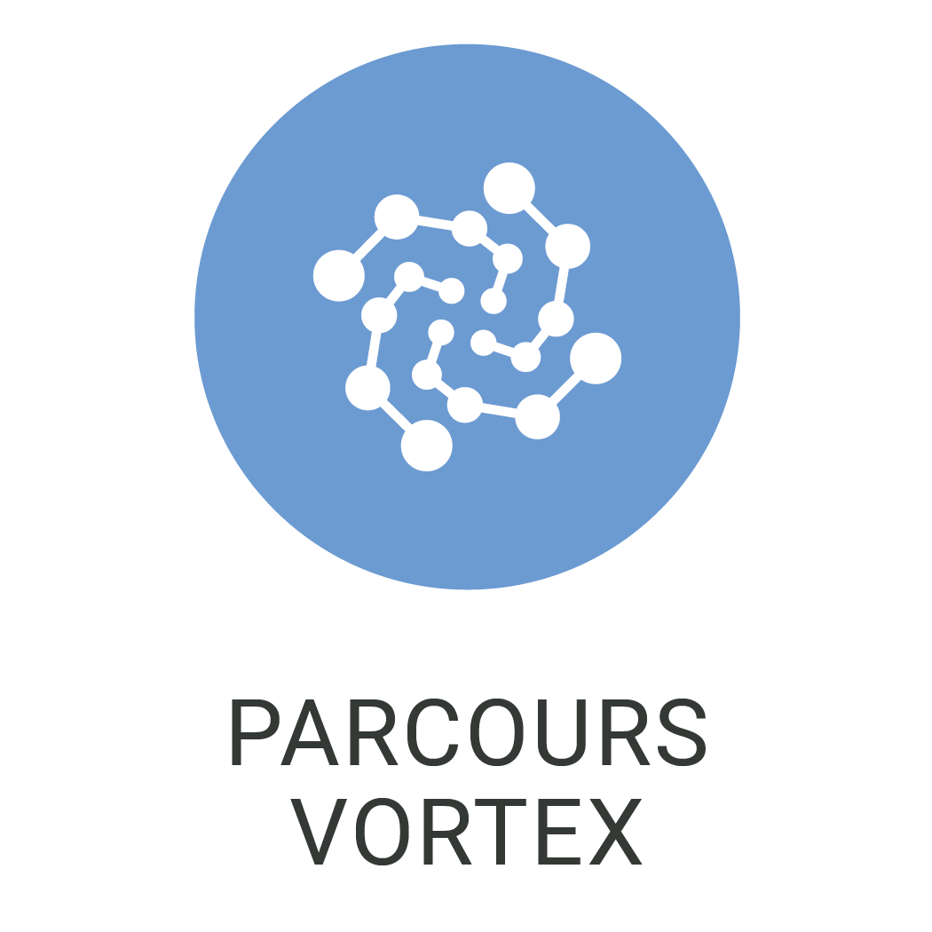 Réseaux d'vortexs