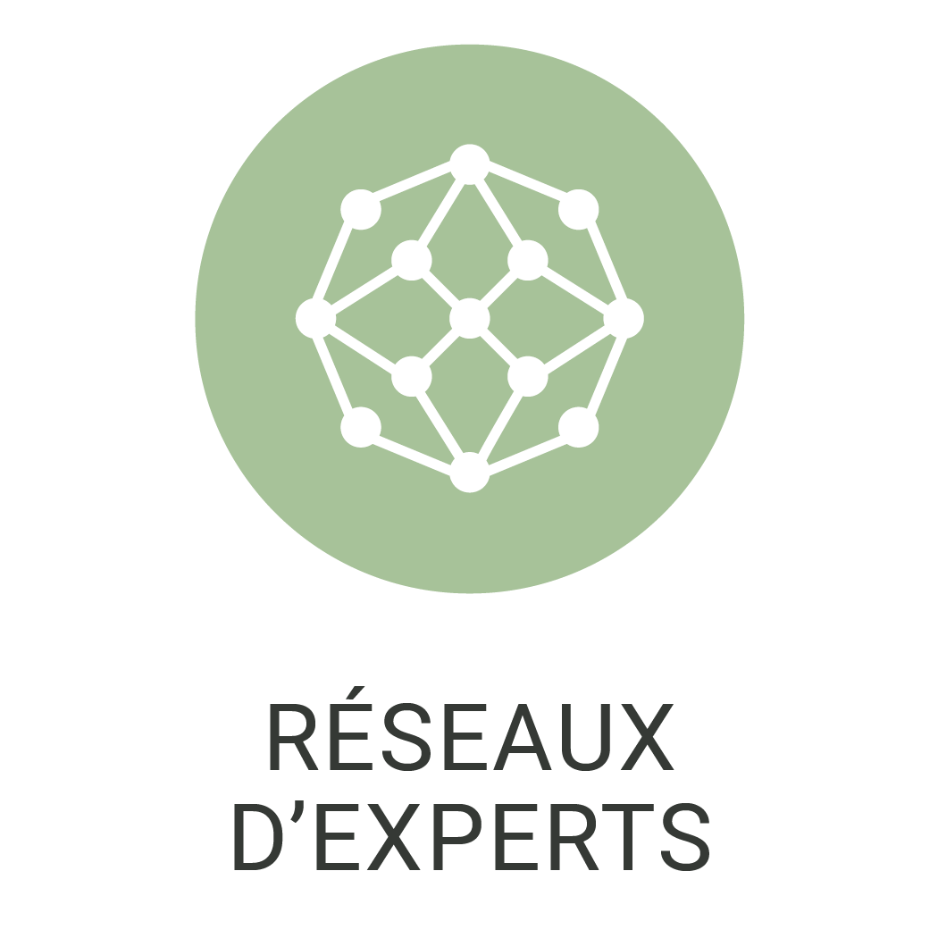 Réseaux d'experts